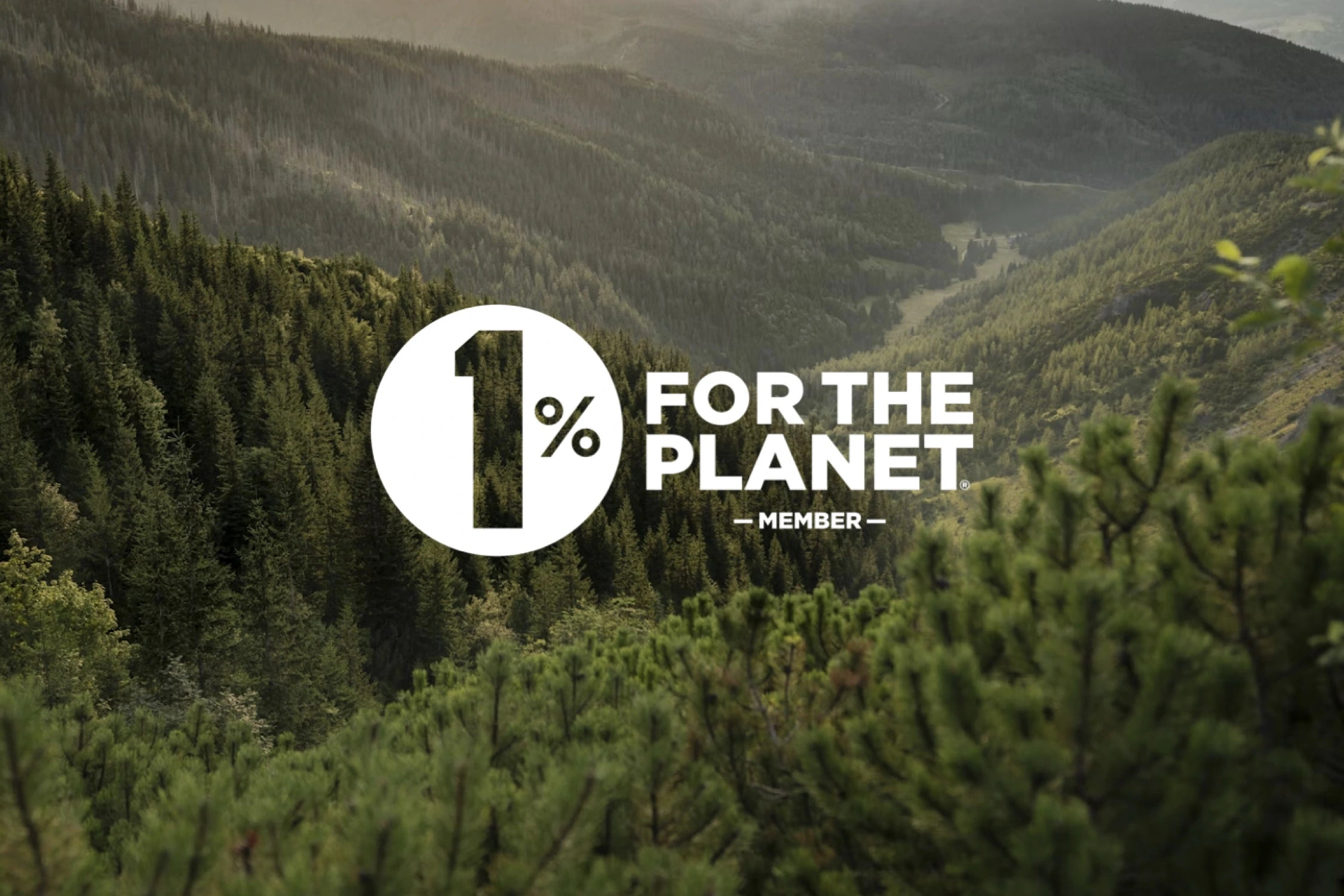 一片廣闊森林壓上 1% for the planet Logo 的照片