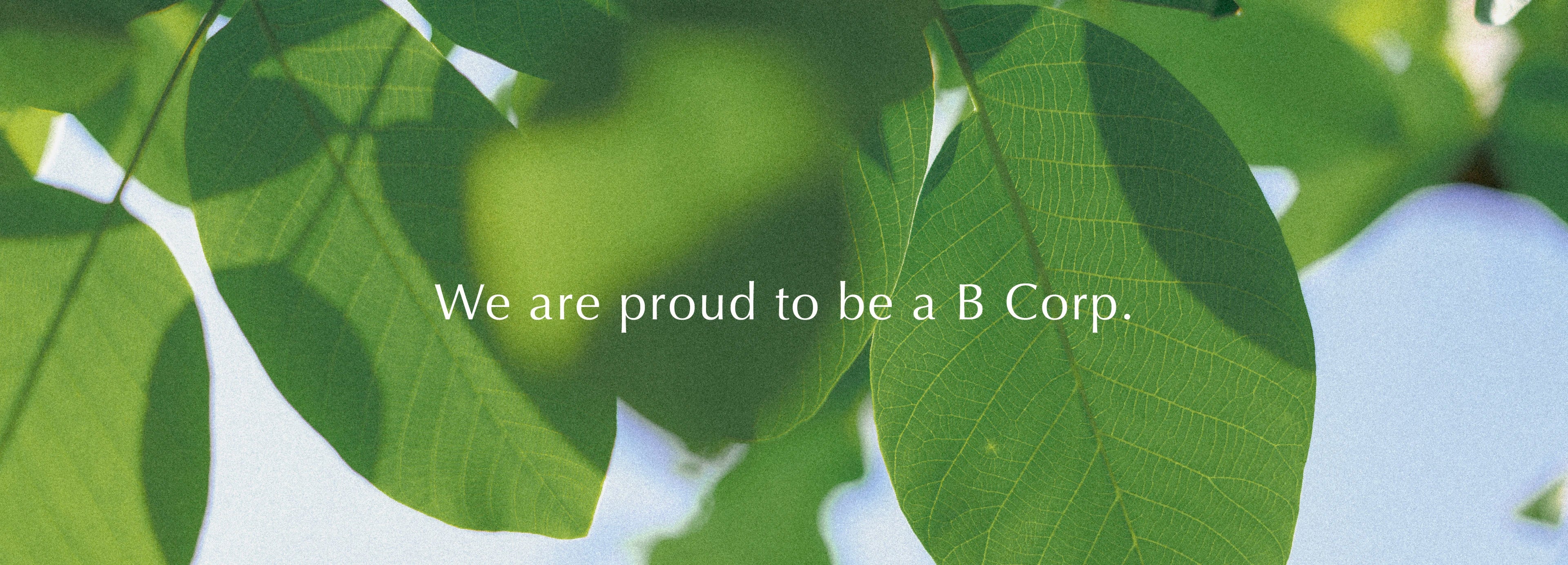 從樹葉底部朝天空拍攝的畫面，畫面上印寫著 We are proud to be a B Corp 字樣